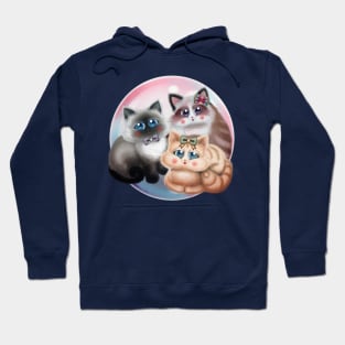 Cute Cats with Bows Hoodie